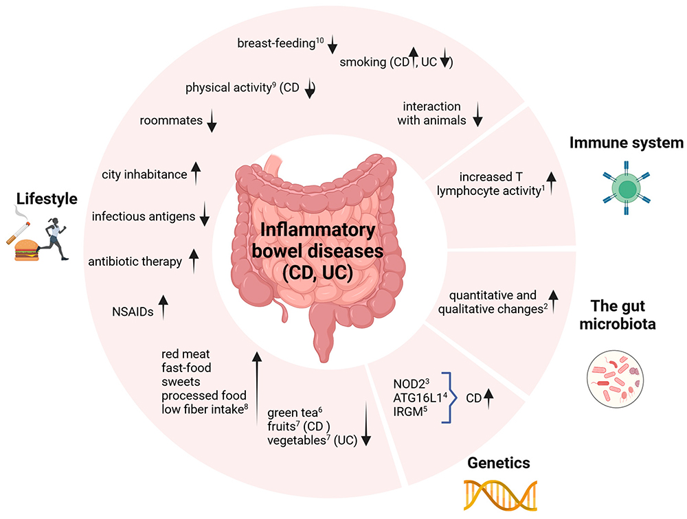 World Inflammatory Bowel Disease Day