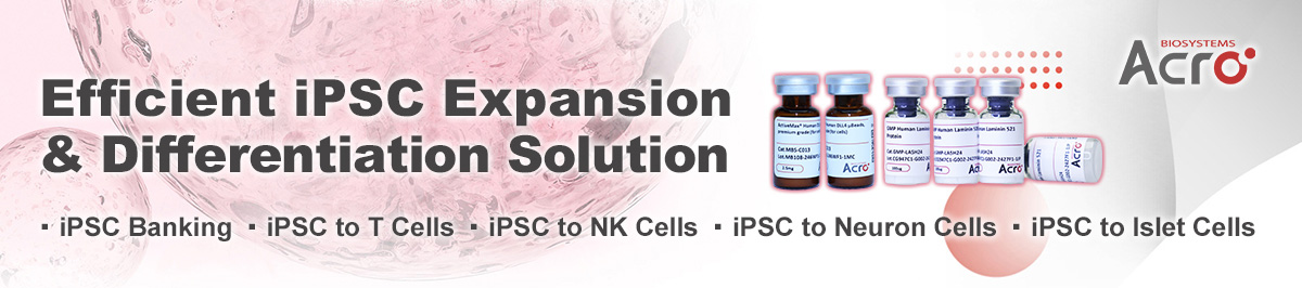 iPSC-Derived Islet Differentiation for Diabetes