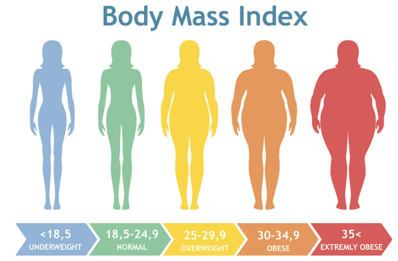 Advancing Obesity Therapeutics