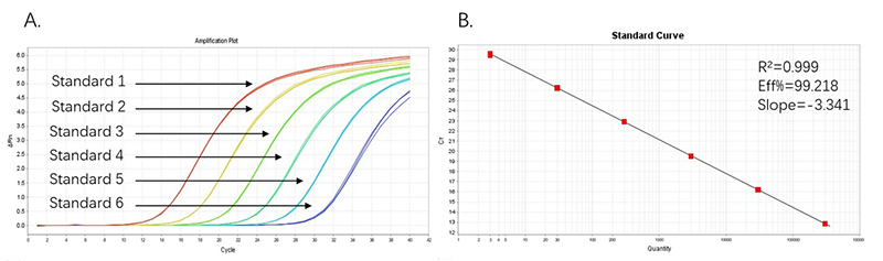 CHO resDNA Detection Kit: High Sensitivity and Specificity for Biologics QC