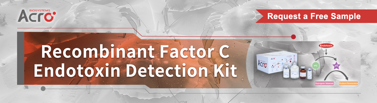 A Comprehensive Guide to Endotoxin Testing: Ensuring Precision Throughout the Process