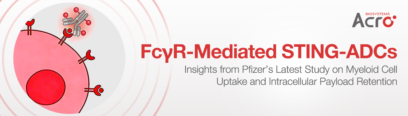 A Review of Pfizer’s STING-ADC Technology: FcγR-Mediated Myeloid Cell Uptake and Intracellular Payload Retention