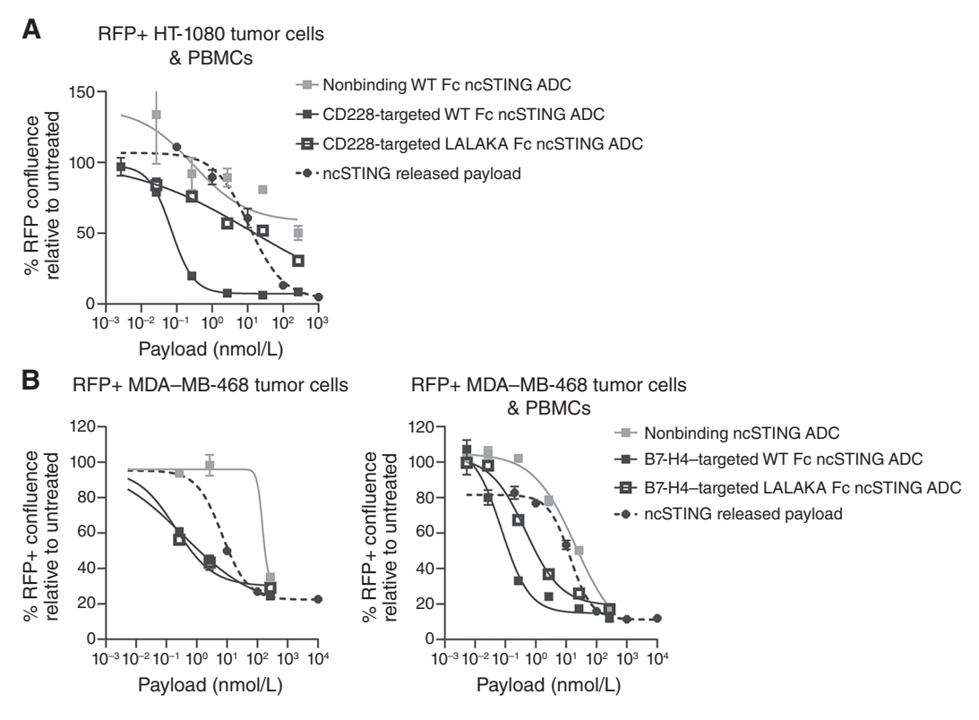 FcγR-dependent immune-mediated tumor cell killing induced by tumor-targeted STING ADCs.