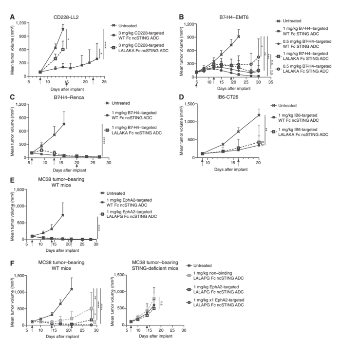 FcγR-dependent antitumor activity of tumor-targeted ncSTING-ADCs in multiple tumor models.