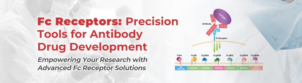 Experimental Tools for FcγR Interaction Studies