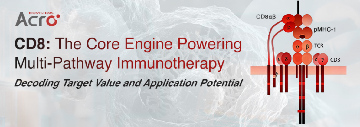 CD8 in Immunotherapy: CAR-T Engineering, in vivo CAR, and CD8-LNP Applications