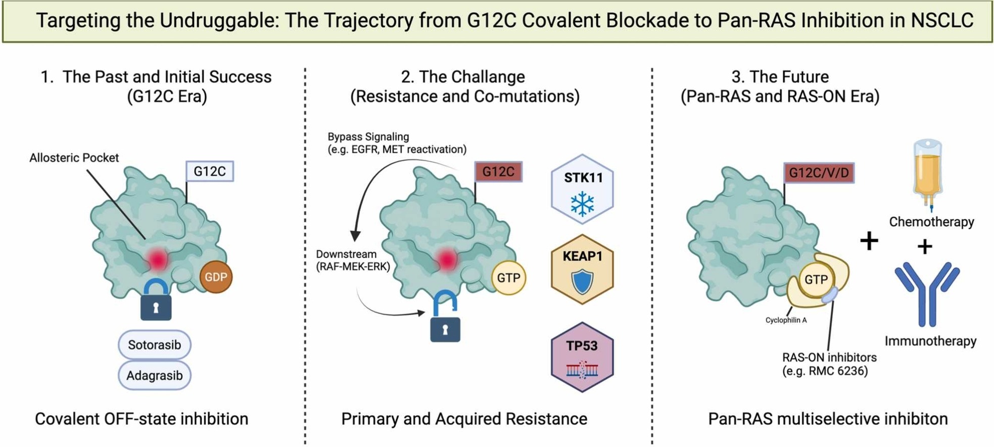 Evolution of KRAS-targeted therapeutic strategies in NSCLC