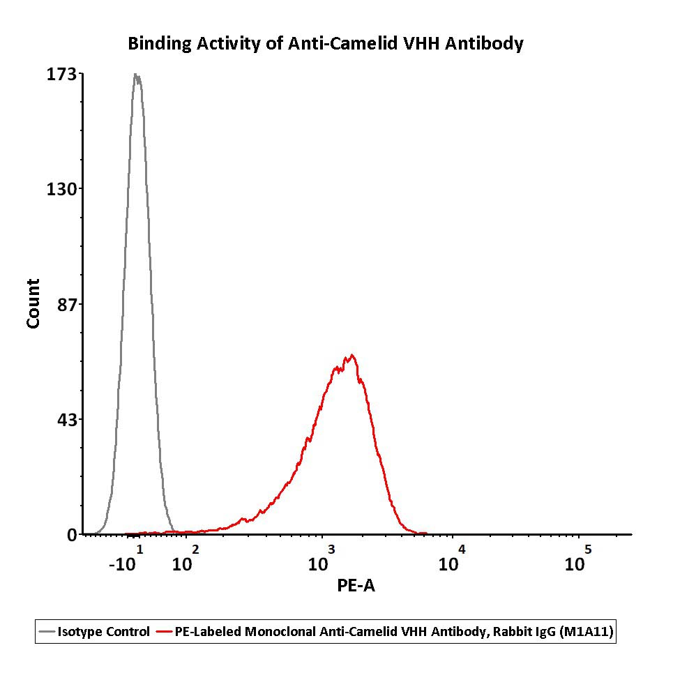 Flow cytometry of VHH CAR-293 cells stained with PE-labeled anti-Camelid VHH antibody showing CAR expression