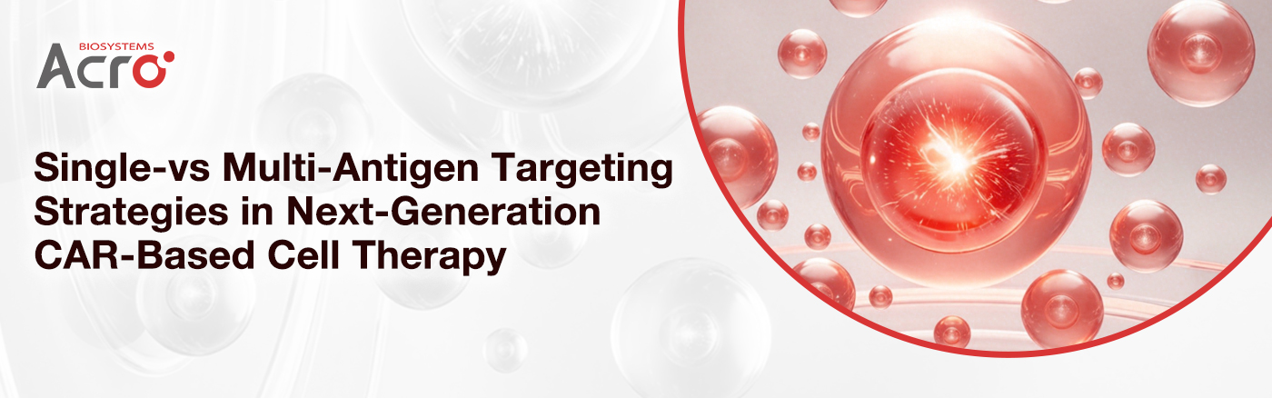 Single- vs Multi-Antigen Targeting Strategies in Next-Generation CAR-Based Cell Therapy