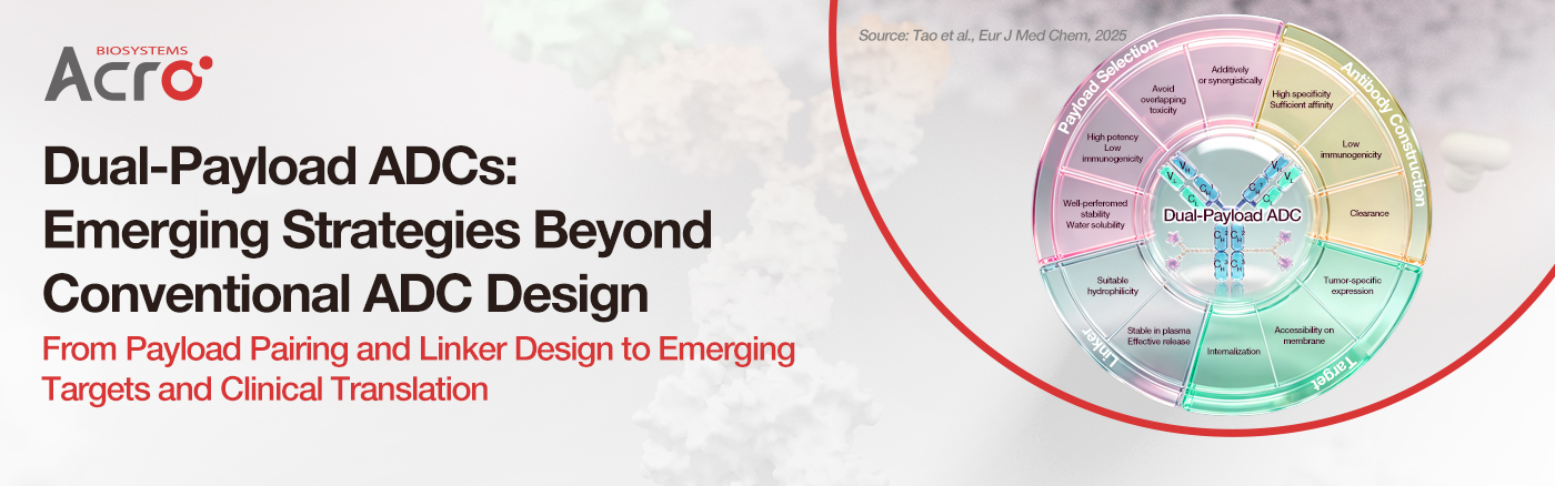 Next-Generation Dual-Payload ADCs: Target Selection, Payload Synergy, and Clinical Pipeline Analysis