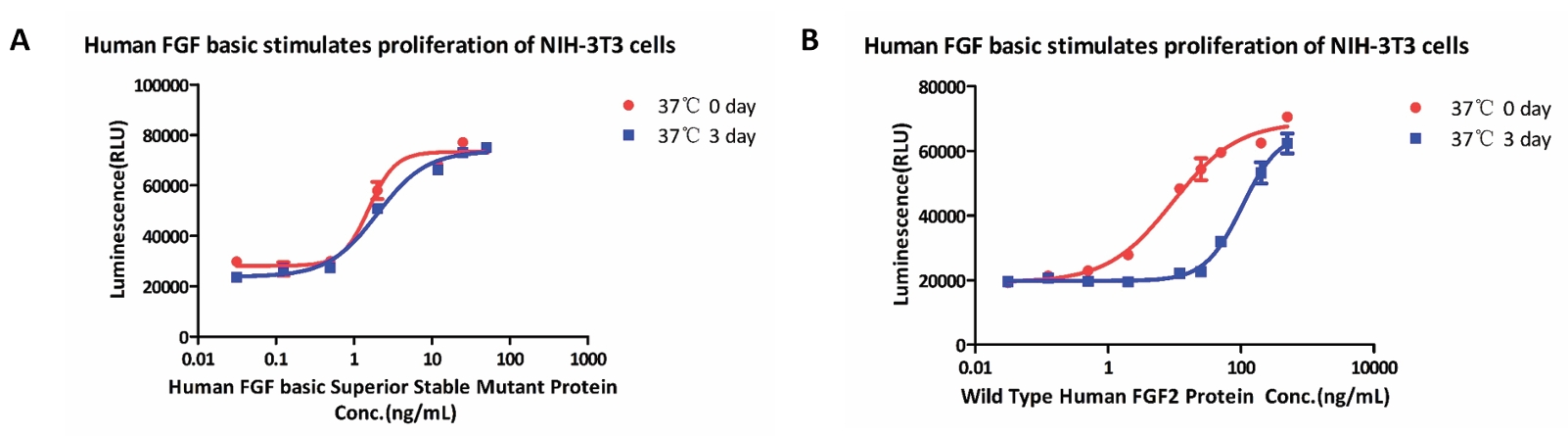 Stable FGF2 enhances NIH-3T3 proliferation