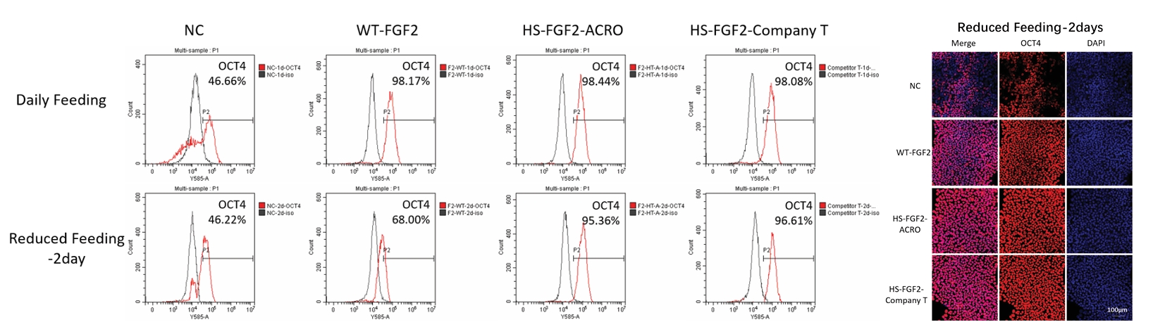 HS-FGF2 maintains stem cell proliferation under reduced feeding