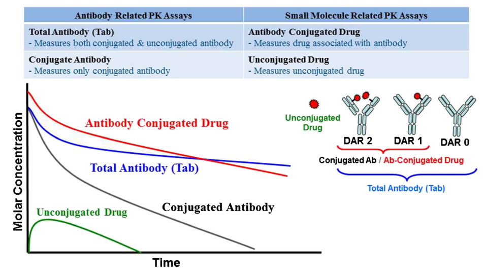 harmacokinetic profiles of different ADC analytes.