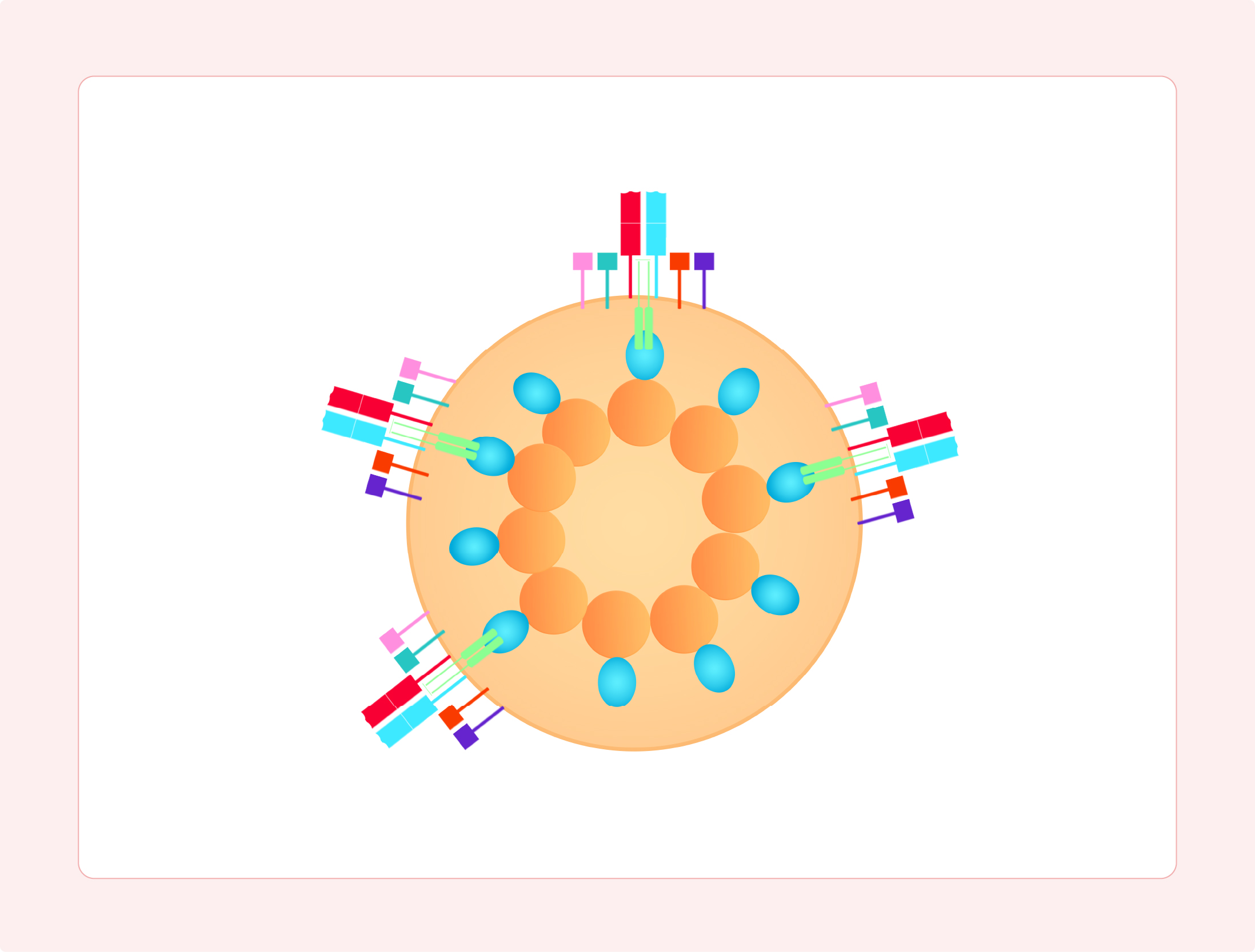 TCR-CD3 (VLP)