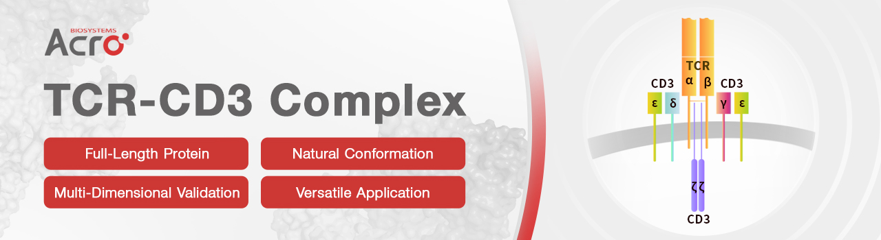 TCR-CD3 Complex: Unlock Superior CD3 Epitopes with Native Assembly