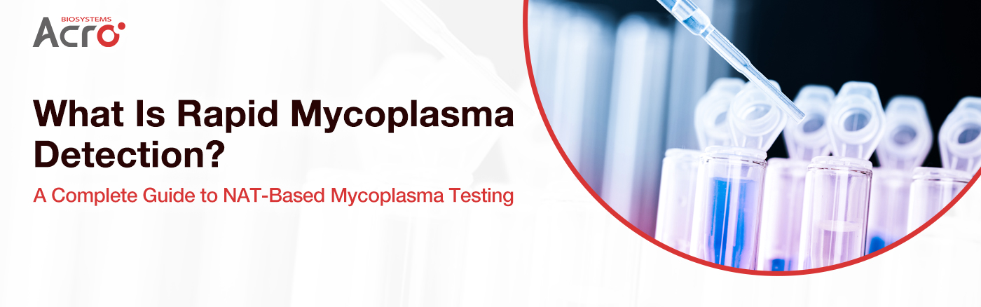 What Is Rapid Mycoplasma Detection? A Complete Guide to NAT-Based Mycoplasma Testing