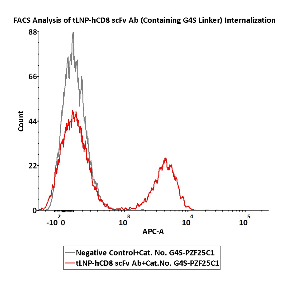 Internalization of tLNP‑hCD8 scFv Detected by pH‑Sensitive Anti‑G4S Linker Labeling