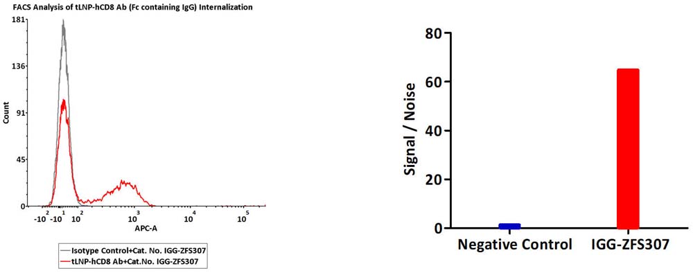 Assessment of LNP‑Conjugated CD8 Antibody (hFc) Internalization Using pH‑Sensitive Anti‑Human IgG Reagent