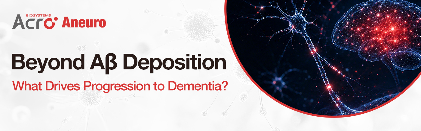 Beyond Aβ Deposition: What Drives Progression to Dementia?