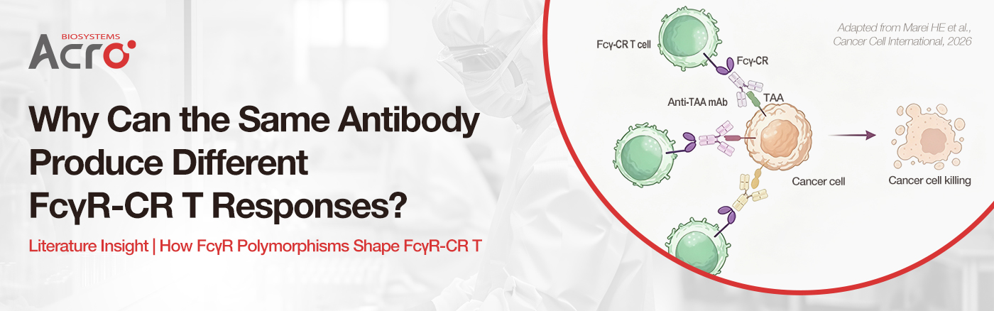 What Determines FcγR-CR T Function Beyond the Therapeutic Antibody?