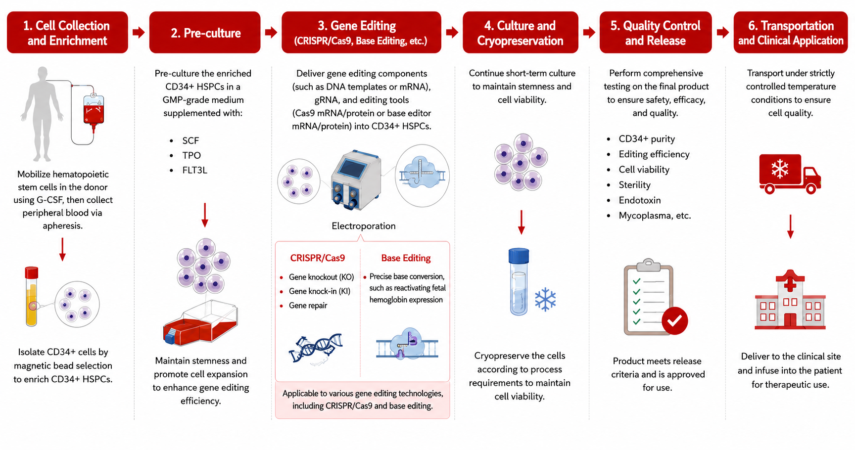 The production process flow of the CRISPR and base editing drugs related to HSPCs.