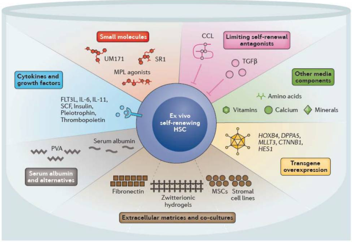 Components of ex vivo HSPCs culture systems