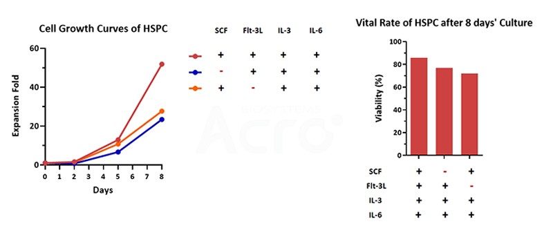 GMP cytokines support rapid cell expansion and good cell viability of CD34+ hematopoietic stem cells