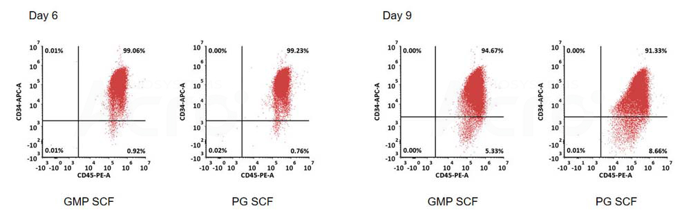 GMP Human SCF Protein (E. coli) flow cytometry analysis of HSC markers CD34 and CD45