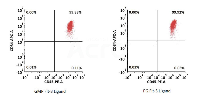 GMP Human Flt-3 Ligand Protein flow cytometry analysis of CD34 and CD45