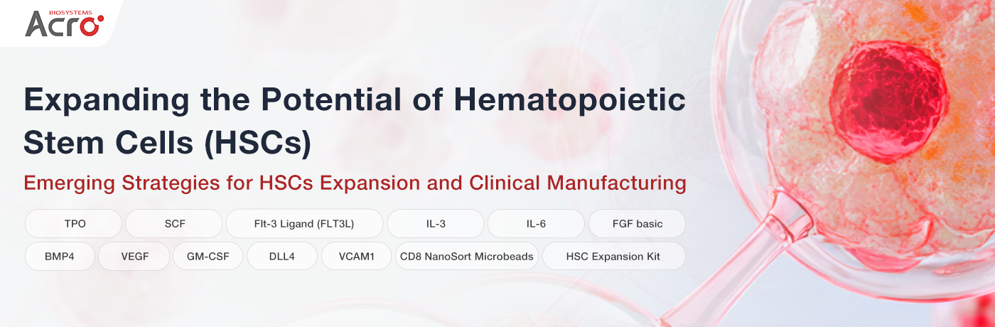 Expanding the Potential of Hematopoietic Stem Cells (HSCs): Emerging Strategies for HSCs Expansion and Clinical Manufacturing
