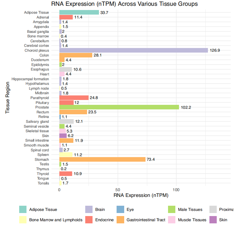 The tissue RNA expression summary of GDF-15