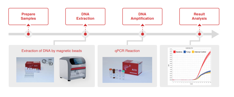 SAFENSURE™ Sterility Rapid Detection Kit workflow