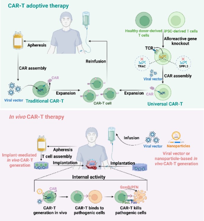 The basic technical pathways of adoptive therapy and in vivo CAR-T therapy