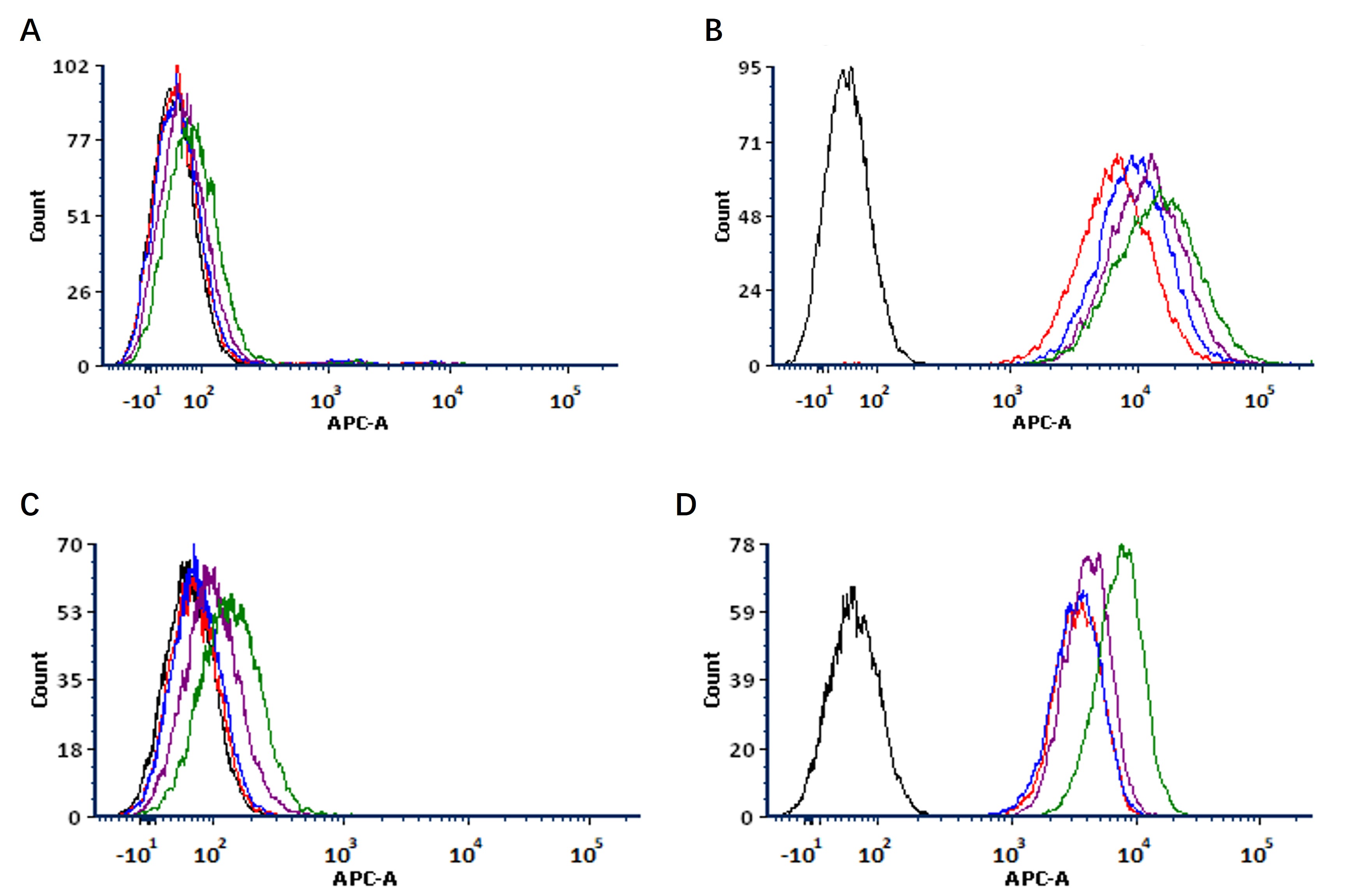 FACS analysis of antibody internalization over time in CD20 and HER2 positive cells using rituximab and trastuzumab