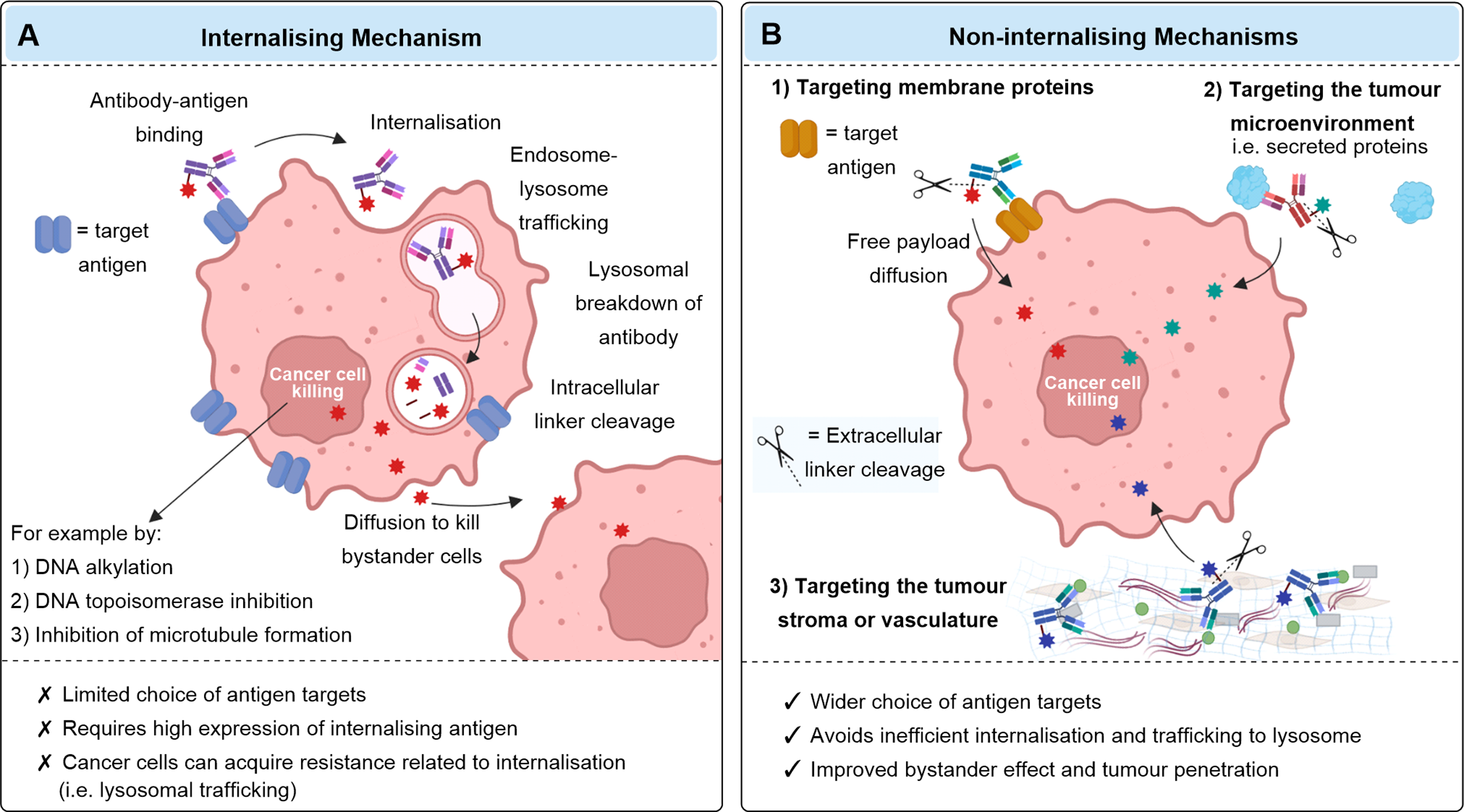 Internalizing and non-internalizing antibody-drug conjugate mechanisms