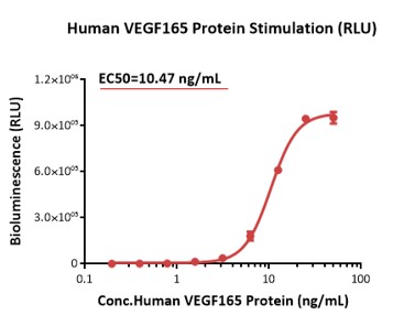 Human VEGF165 Protein Stimulation