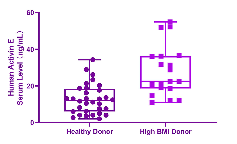 Serum Activin E levels in healthy and high-BMI donors