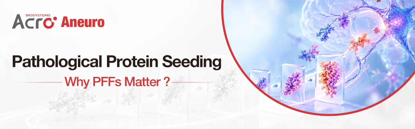 Pathological Protein Seeding: Why PFFs Matter