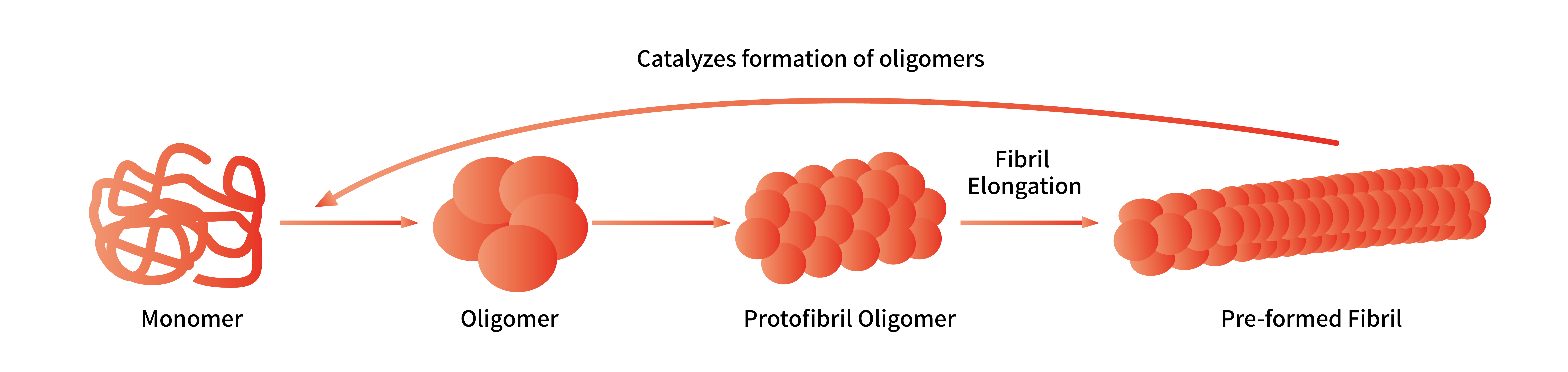 Schematic of the PFFs Formation Process