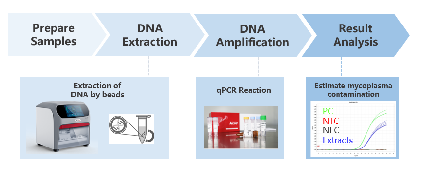 Mycoplasma Detection Workflow