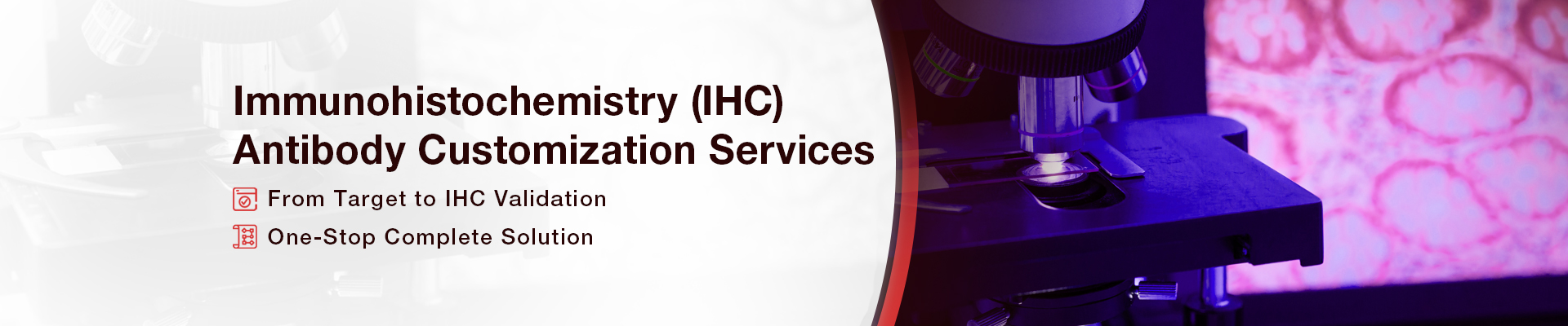 IHC Antibody Customization Service