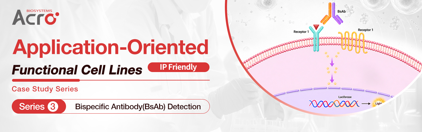 Functional Cell Lines Case Study Series 3: Bispecific Antibody (BsAb) Detection