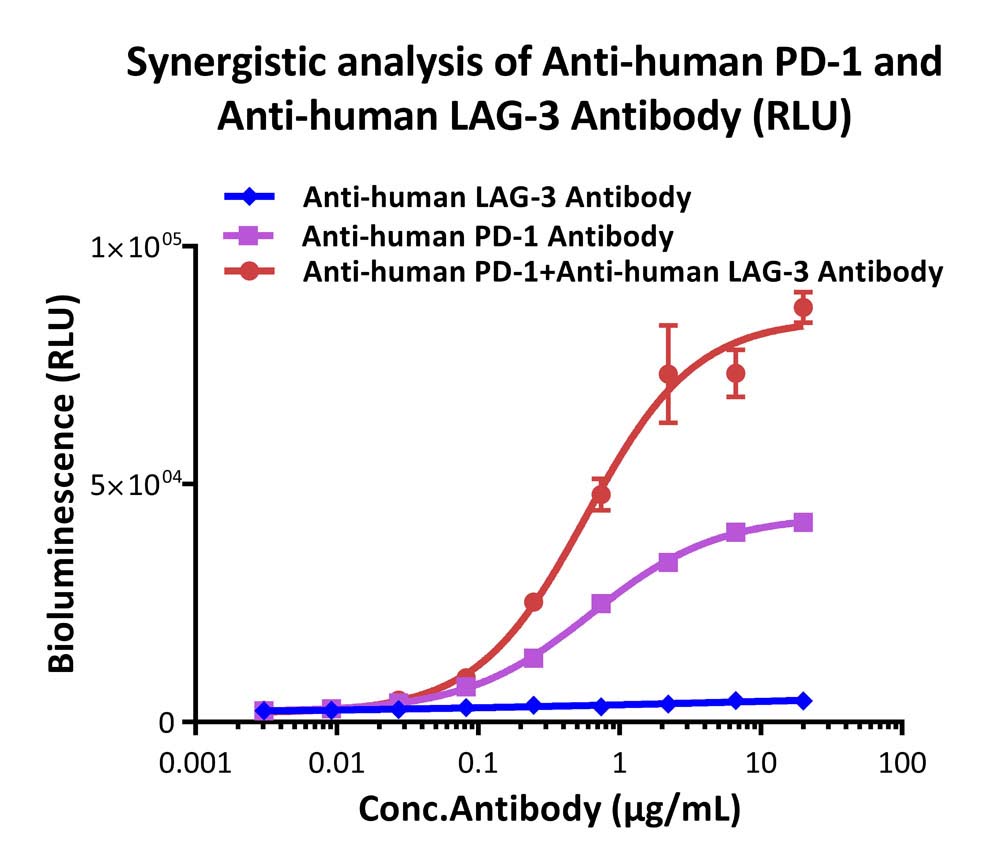 Dual-target reporter cell assay showing synergistic activity of anti-PD-1 and anti-LAG-3 antibodies