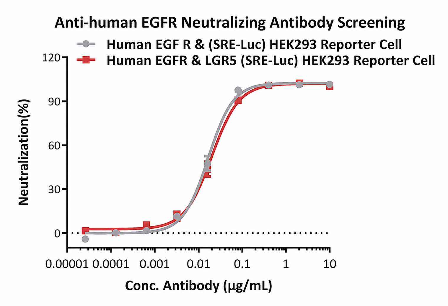 Comparison of EGFR antibody activity in single-target and EGFR LGR5 dual-target reporter cells