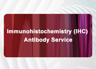 Immunohistochemistry (IHC) Antibody Service Inquiry Form