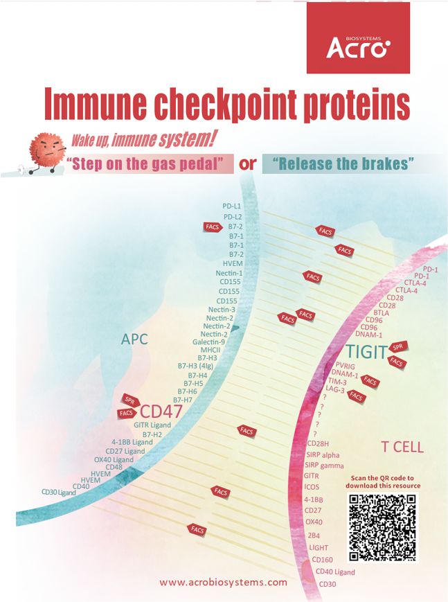 Immune Checkpoints 202111