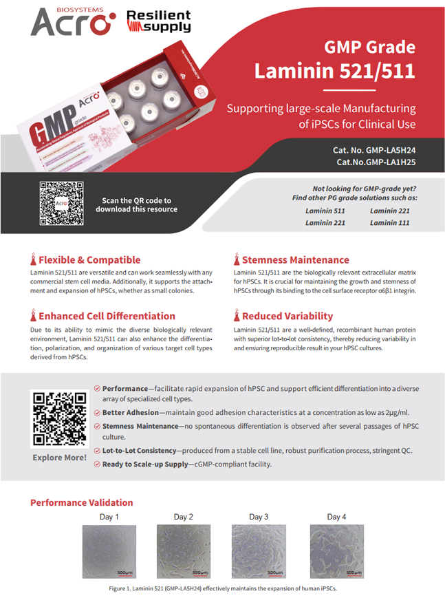 [Flyer] GMP Grade Laminin 521-Cell Culture Cytokines