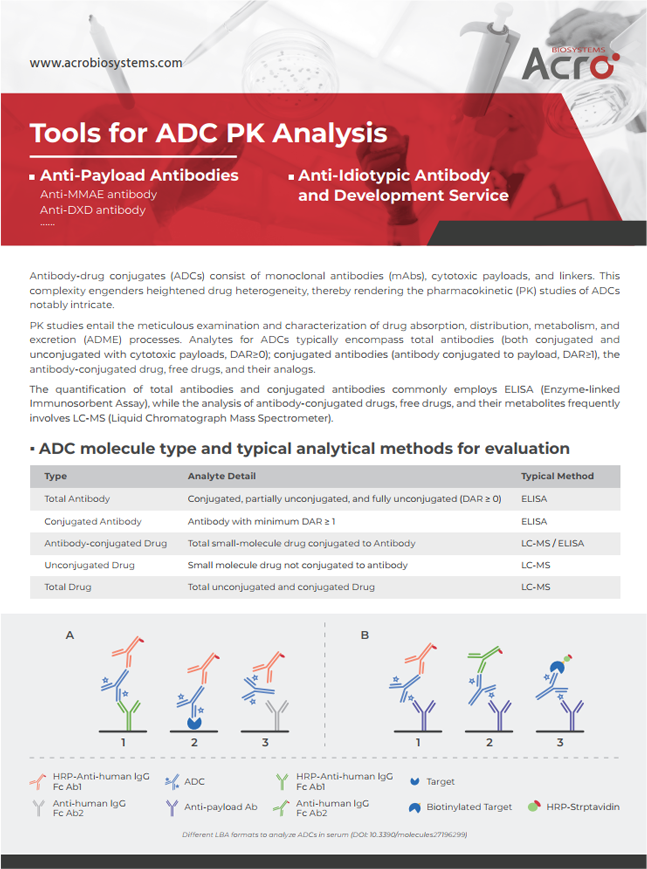 [Flyer] Tools for ADC PK Analysis