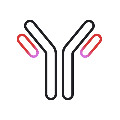Antibodies