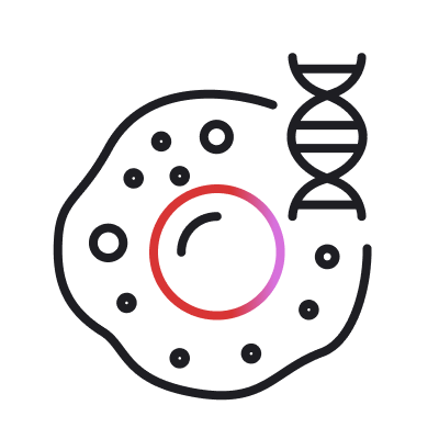 Cell Lines